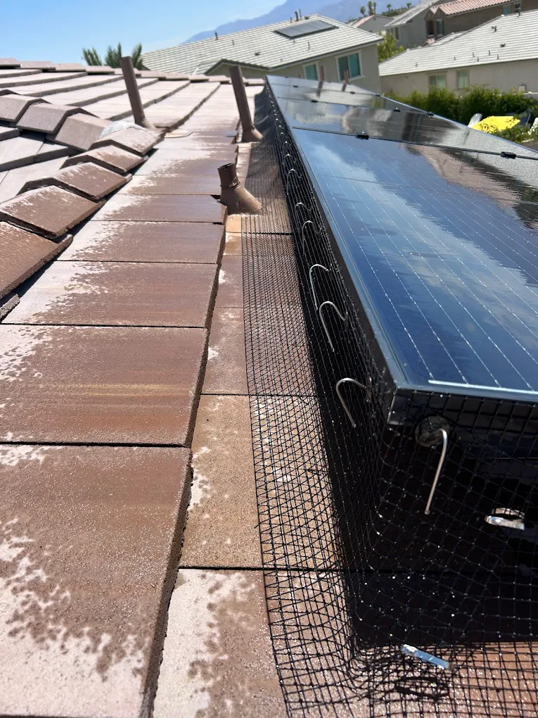 Bird proofing mesh professionally installed around residential solar panels