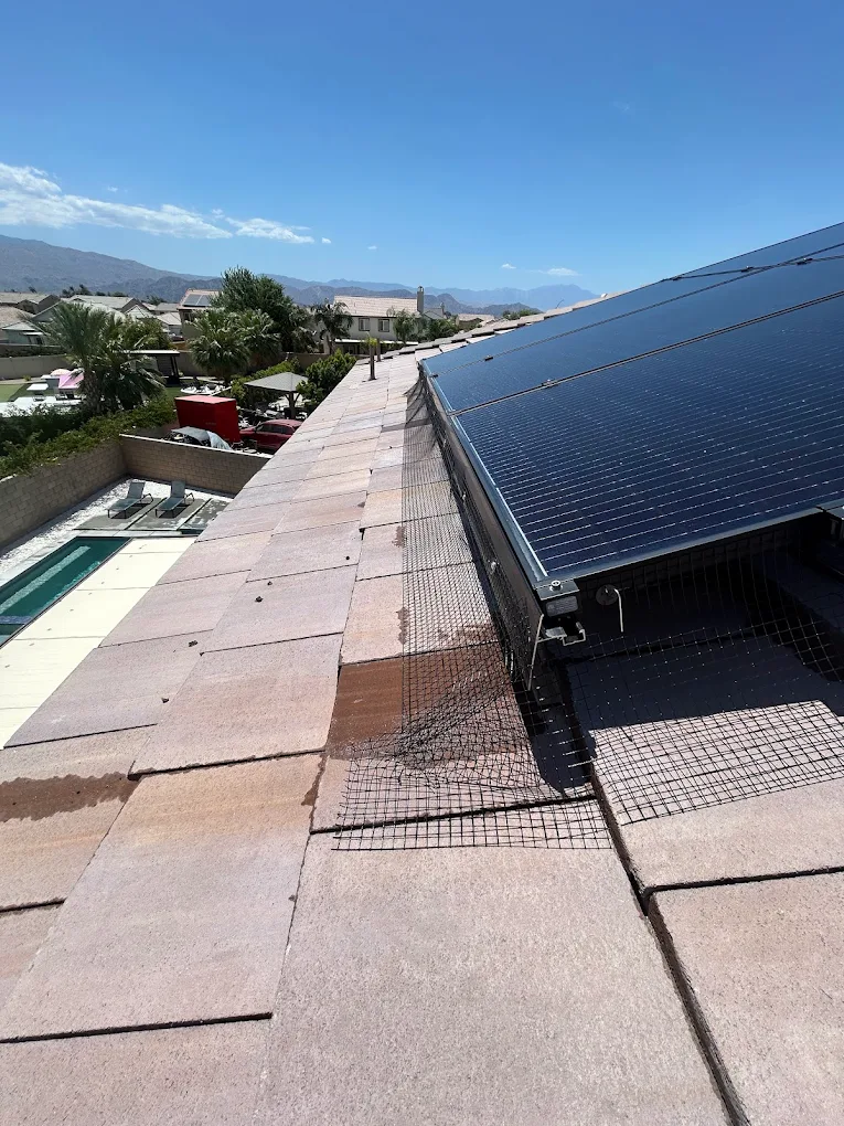 Solar panel bird-proofing mesh on a desert home